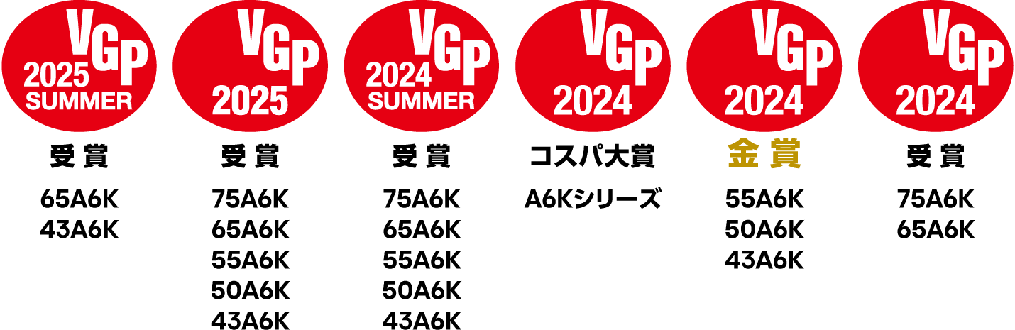 VGP受賞