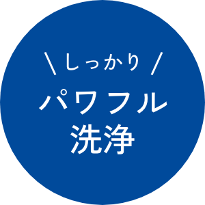 パワフル洗浄