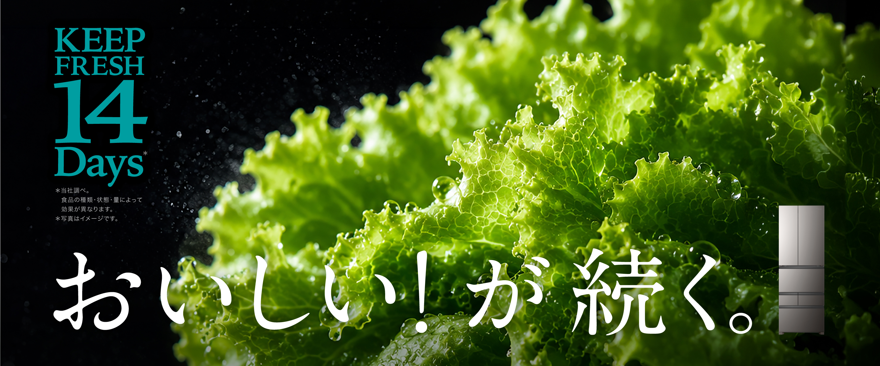 とれたてキープ野菜室 ハイセンス冷凍冷蔵庫
