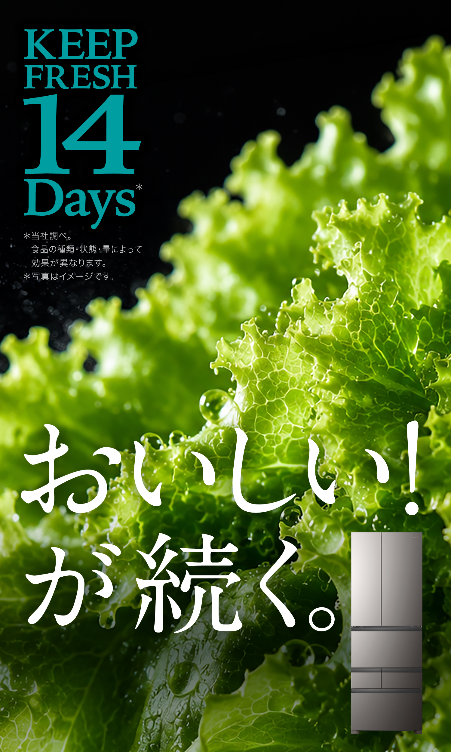 とれたてキープ野菜室 ハイセンス冷凍冷蔵庫