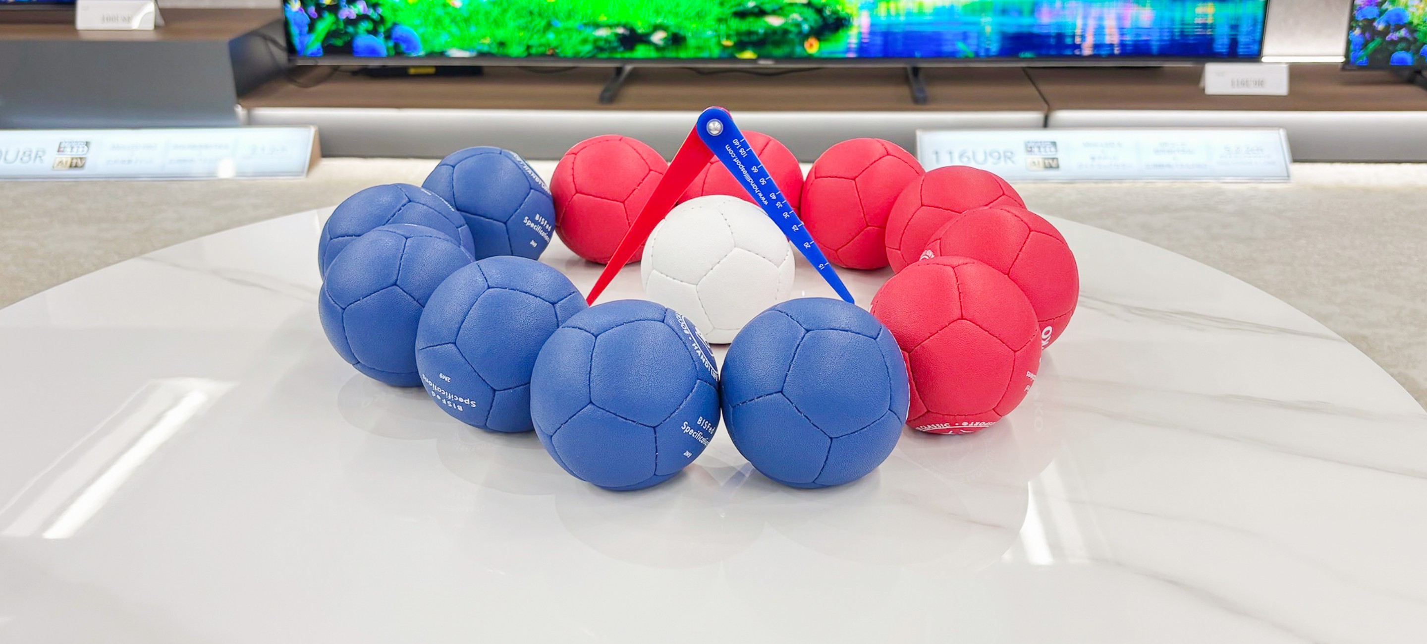 スポーツを通じた共生社会への取り組み