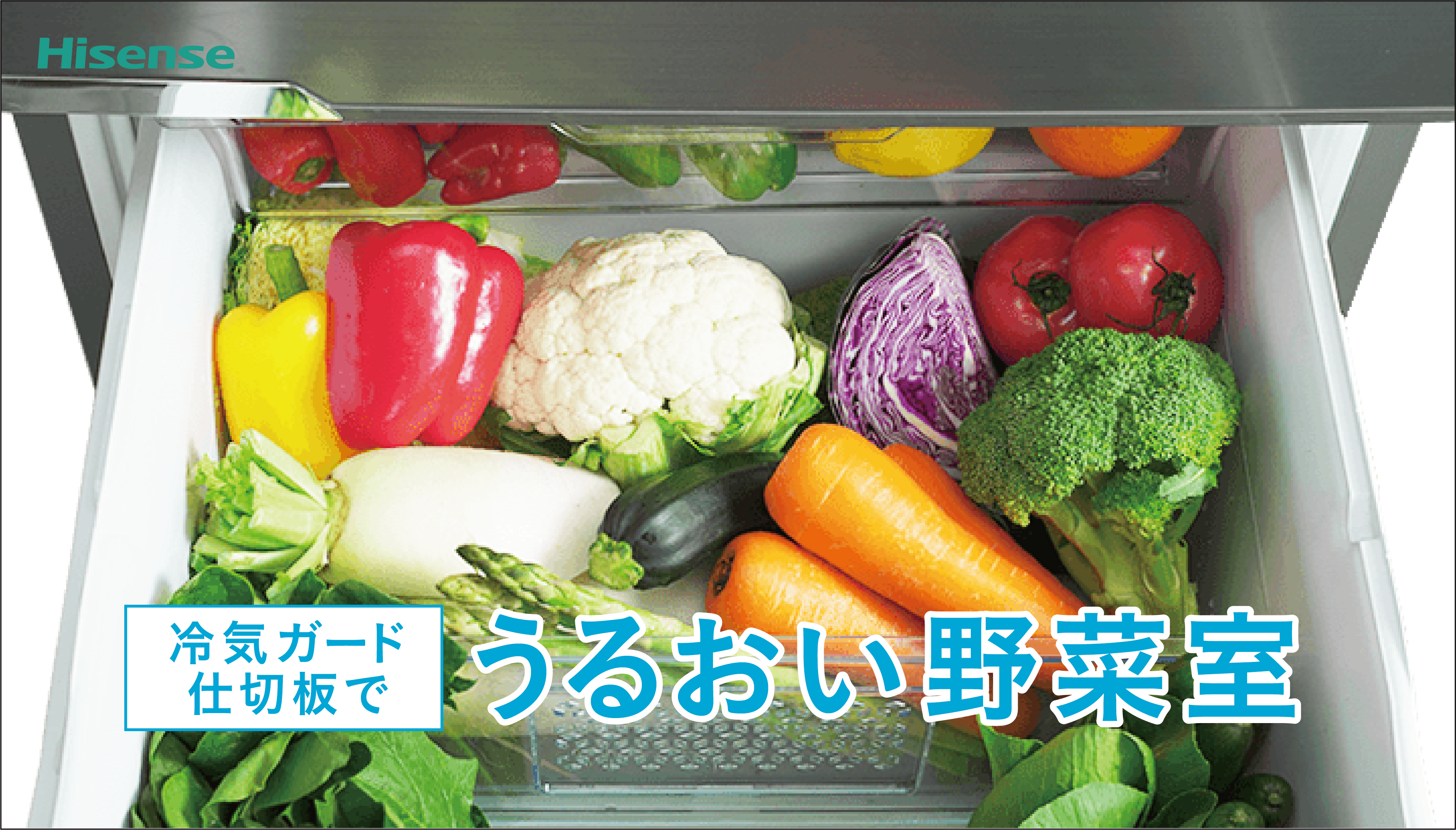 360L HR-D3601S 冷凍冷蔵庫 | ハイセンスジャパン株式会社