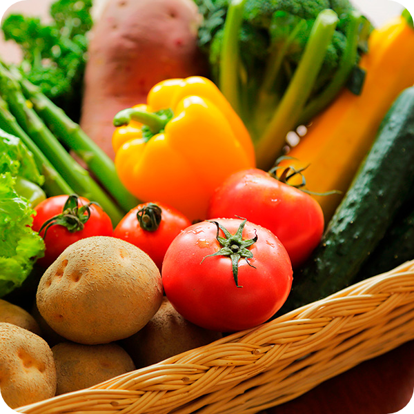 食材の鮮度保持