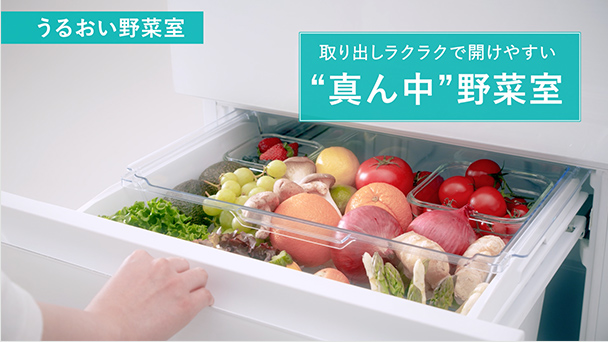360L 冷凍冷蔵庫 HR-G3601W | ハイセンスジャパン株式会社