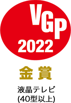 VGP受賞