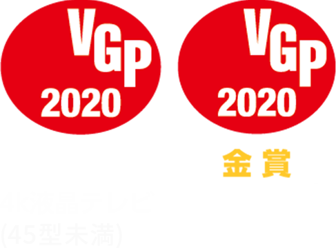 VGP2020受賞