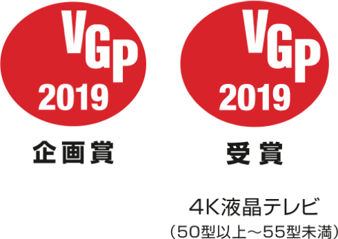 VGP2019 受賞