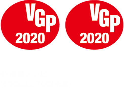 VGP2020受賞