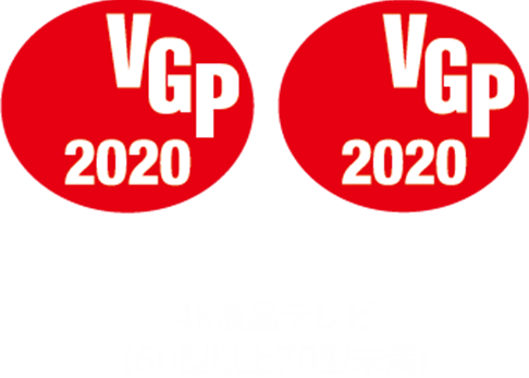 VGP2020受賞