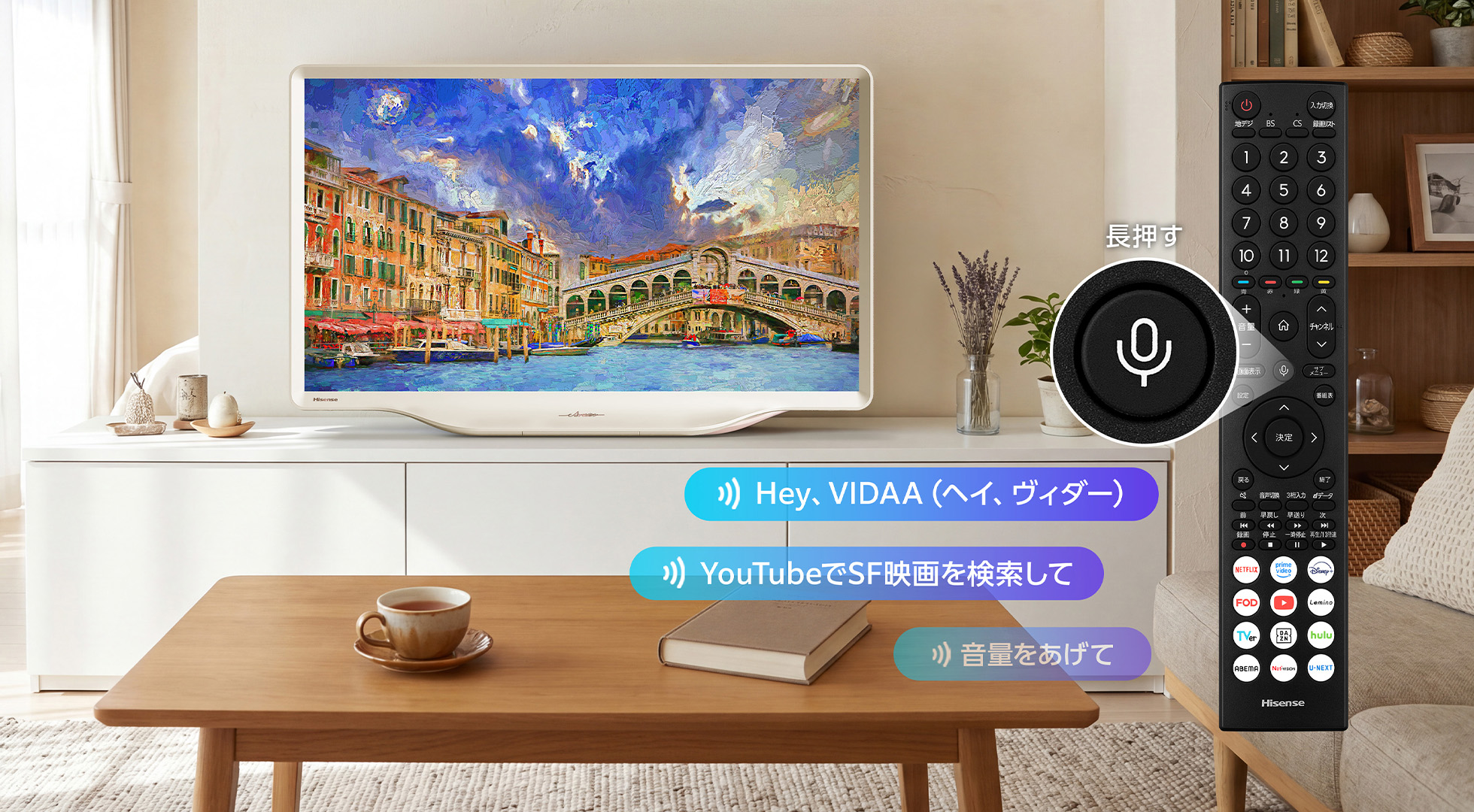 vidaa voice