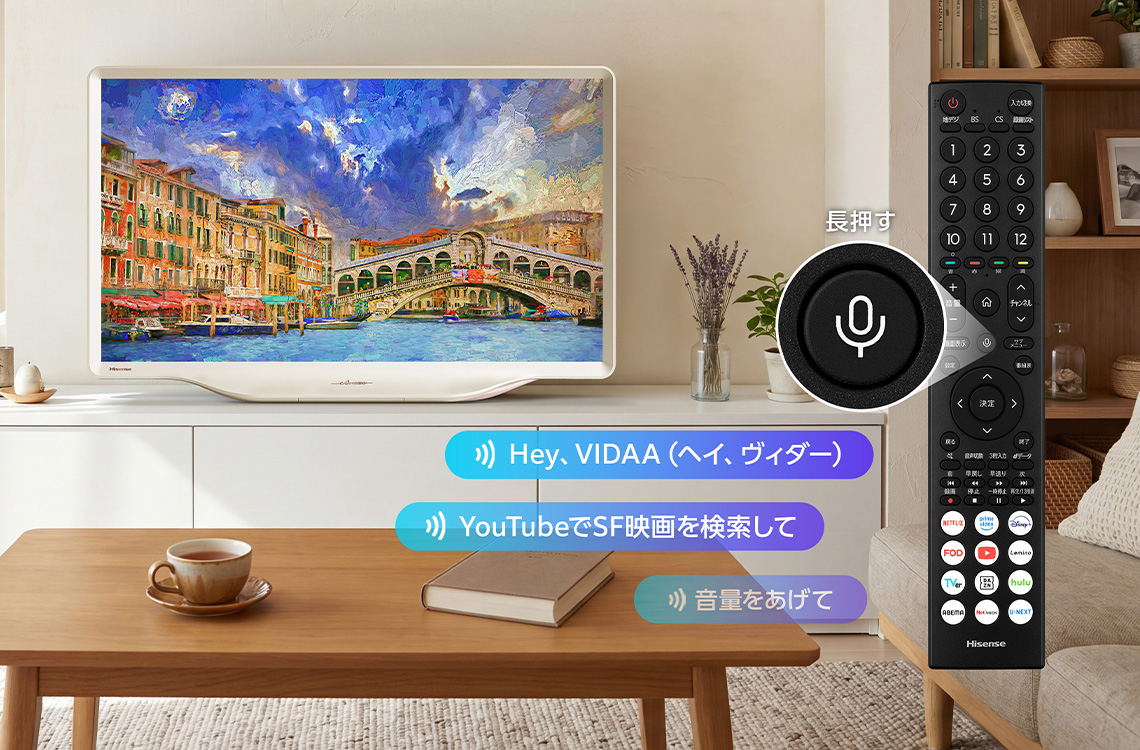 vidaa voice
