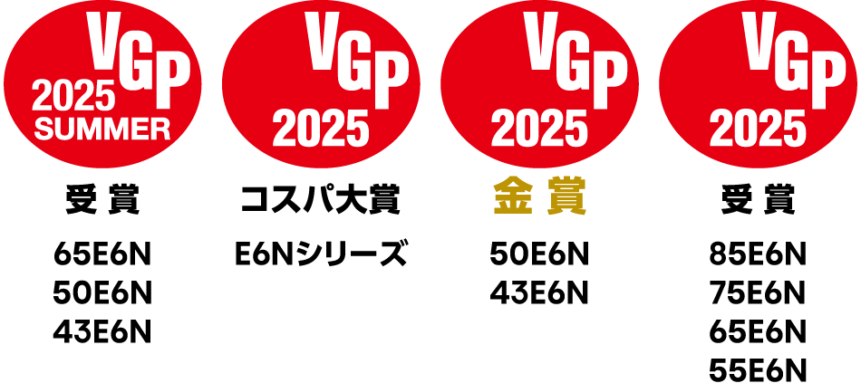 VGP受賞