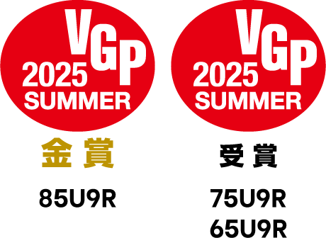 VGP受賞