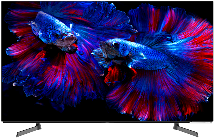 繊細かつ鮮烈な映像美を楽しめる BS/CS 4Kチューナー内蔵有機ELテレビ