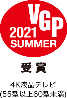 VGP2021SUMMER受賞